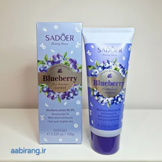 فوم شوینده صورت بلوبری sadoer